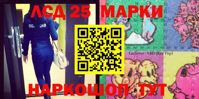 Альфа ПВП Жуковский