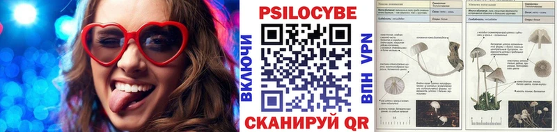 Псилоцибиновые грибы Psilocybine cubensis  что такое наркотик  Кострома 