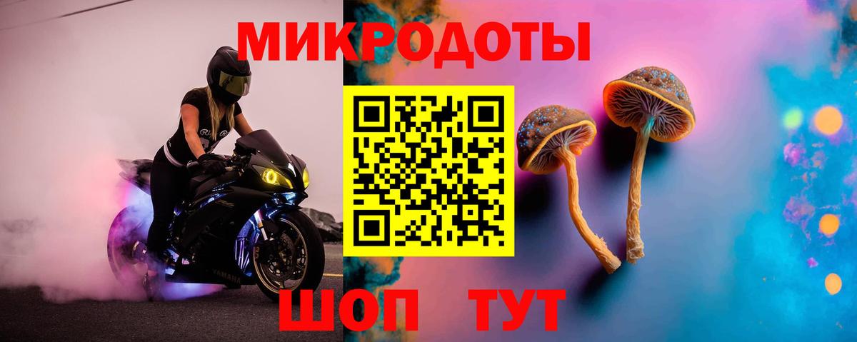Псилоцибиновые грибы Psilocybe  Вход с VPN  закладки  Галлюциногенные грибы MAGIC MUSHROOMS  Кострома 